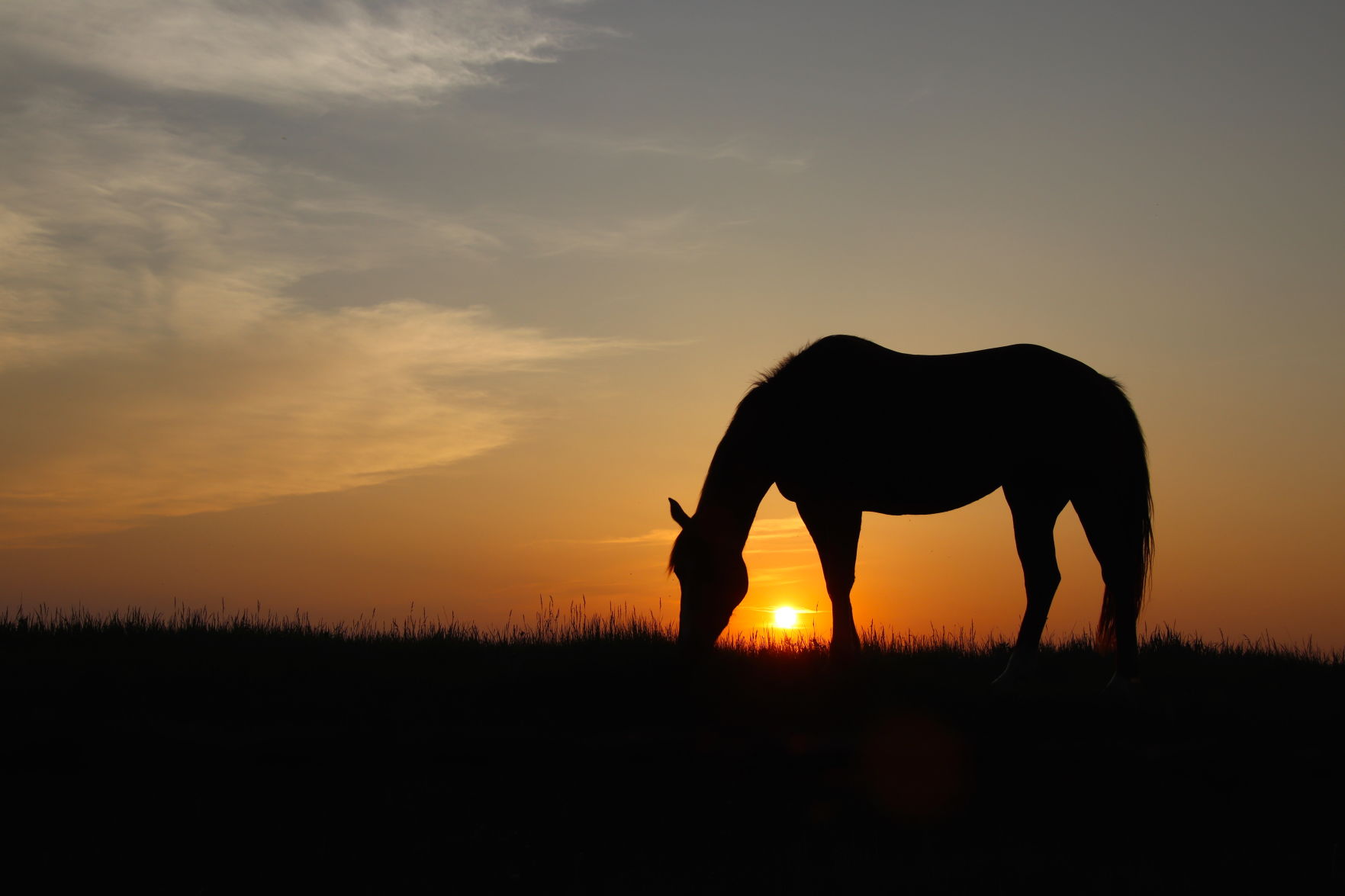 Waning Sun